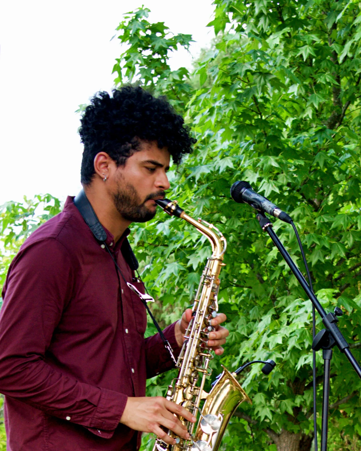 Saxofonista de Unfrontier